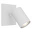 Ascoli 1 - Light Spotlight-2059440247