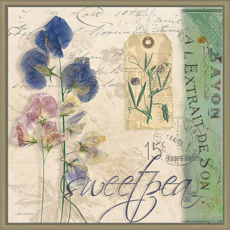 «Sweet Pea (Square)» par Carol Robinson, reproduction, H 21,5 po x l 21,5 po x P 2 po, Cadre flottant champagne