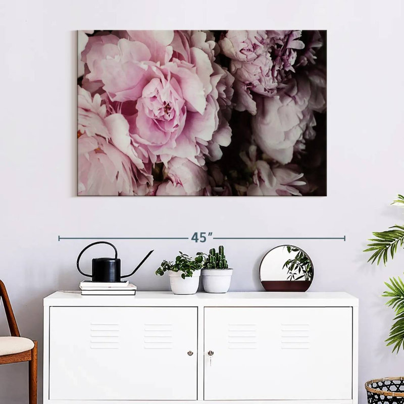 Pivoines Harnek Galore II, H 26 po x l 39 po
