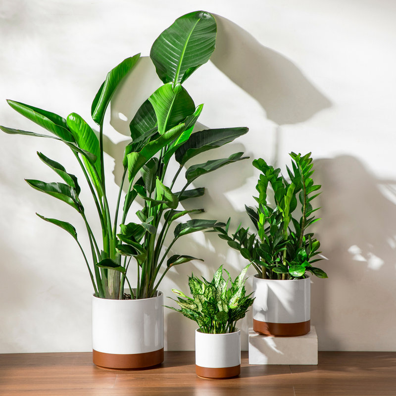 ZTHPOT Ceramic Pot Planter, Khaki