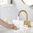 Centerset 2-handle Bathroom Faucet with Drain Assembly-70781259
