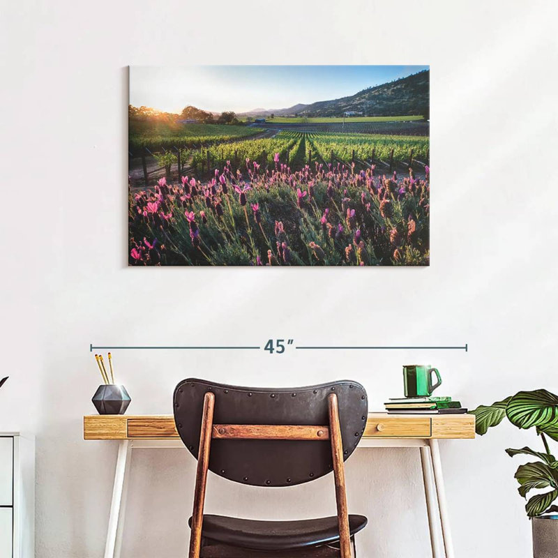 Alvord Napa Valley, vignes et fleurs, H 24 po x l 36 po