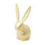 porte-anneau de lapin Zoola