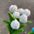 Blanc * 6 pièces
