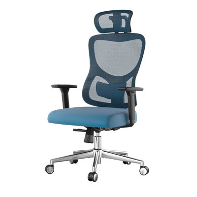 Ergonomic Office Chair with Adjustable Lumbar Support & Headrest - Mesh Desk Chair with 3D Armrest, Reclining Swivel Computer Chair for Home Office, Study Room (Black & Navy)