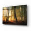  «Autumn Light» par Martin Podt, art mural en verre acrylique, 16 po x 12 po