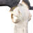 Real Wildebeest Antelope Skull