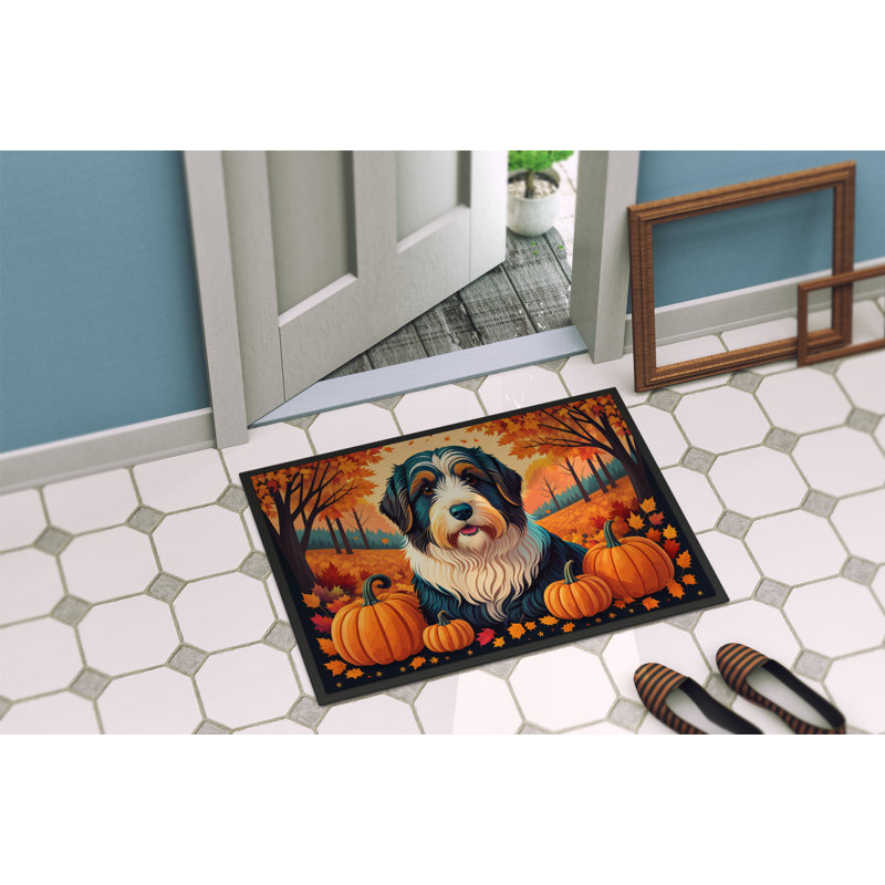 Tapis de porte extérieur antidérapant Oakleigh, L 18 po x L 27 po