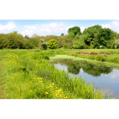 Green Wildflower Meadow by Mtreasure