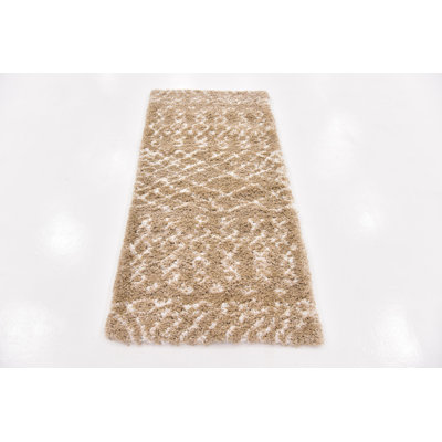 Southwestern Shag Area Rug