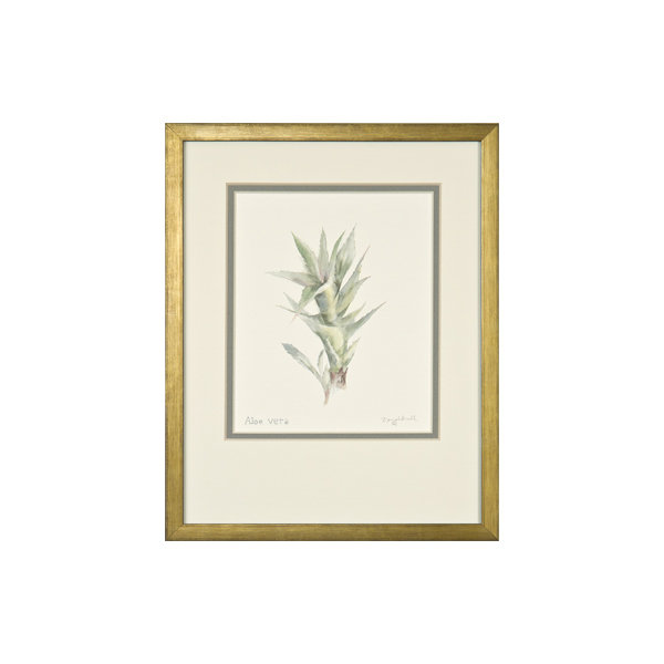 Aloe Vera Print by Daughdrill