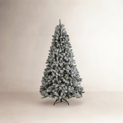 Spruce Tree