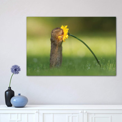 Smells Like Summer by Dick Van Duijn - Wrapped Canvas Print
