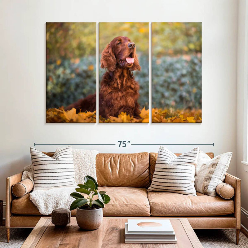 Setter irlandais en automne, H 14 po x l 23 po