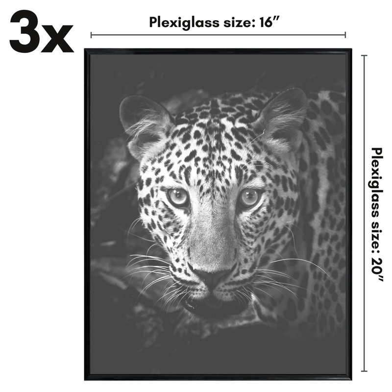 Malaya 3 Pack Lightweight Poster Frames Slide-In Photo Frames with Buildable Moulding, 16" x 20"