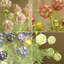 5 pièces de fleurs artificielles en soie pour la maison-2091962120