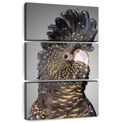 Brampt Black Cockatoo Head