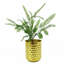 Annelies Arrangement-1106866022