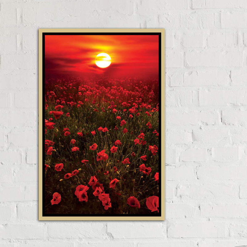 « chaleureux coucher de soleil » par marco carmassi-reproduction de photo, H 48 po x l 32 po x P 1,5 po, Toile encadrée d'or