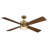 Camran 52'' Brushed Brass Dimmable Ceiling Fan with LED Lights and Remote Control 6 Speeds Reversible DC Motor Timer Memory