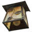 1 - Light Outdoor Wall Lantern