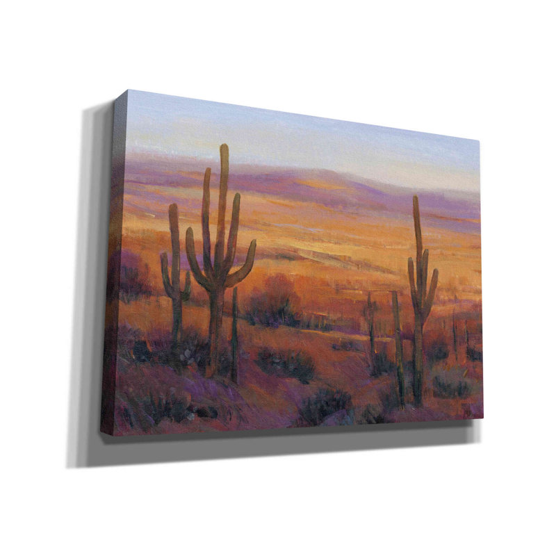 «Desert Light II» par Tim O'toole, art mural sur toile, H 12 po x l 16 po x P 0,75 po
