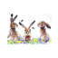 Hares And Bees by BebesArts - Painting on Canvas-1398972100-1360219888