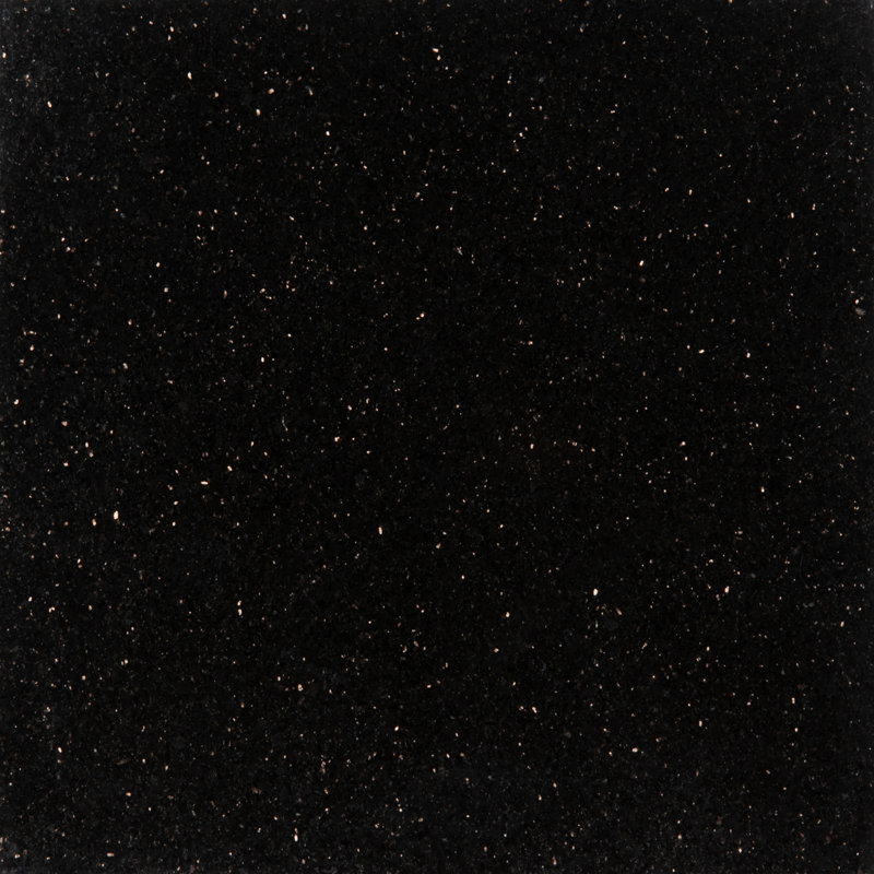 Black Galaxy 18 in. x 18 in. Polished Granite Floor and Wall Tile