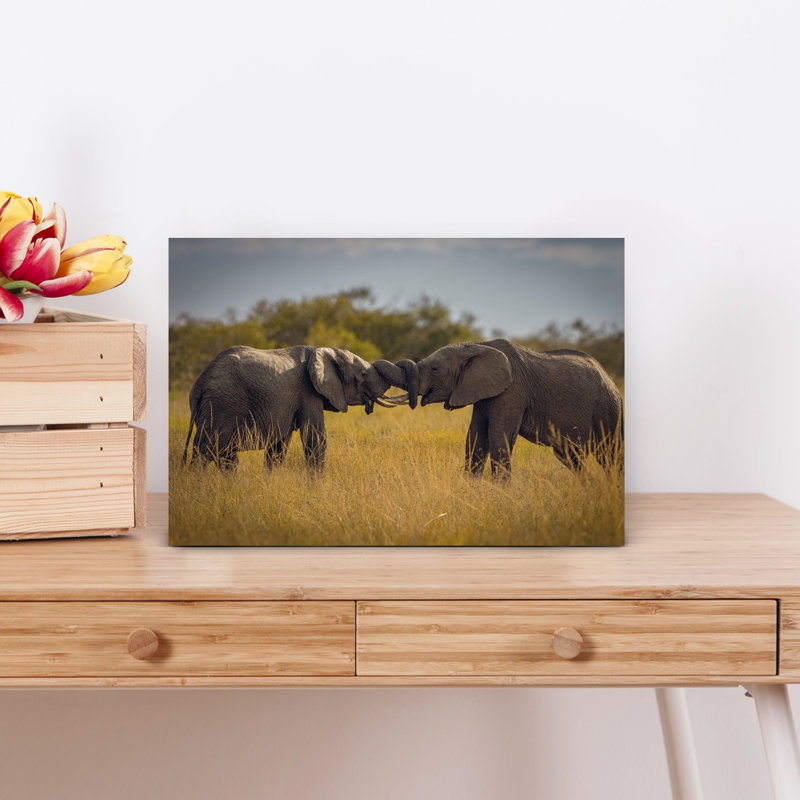 African Elephants Interact Contemporary Wall Art Print, 30.48cm H x 45.72cm W