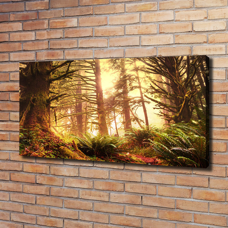 The Rainforest - Wrapped Canvas Print