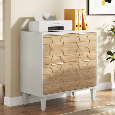 Derrin 31.5 " Wide 2 Drawers Lateral Filing Cabinet