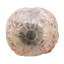 Dome Lamp Shade