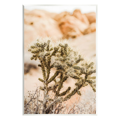 «Arid Cactus Desert Plant» par Krista Broadway - photographie