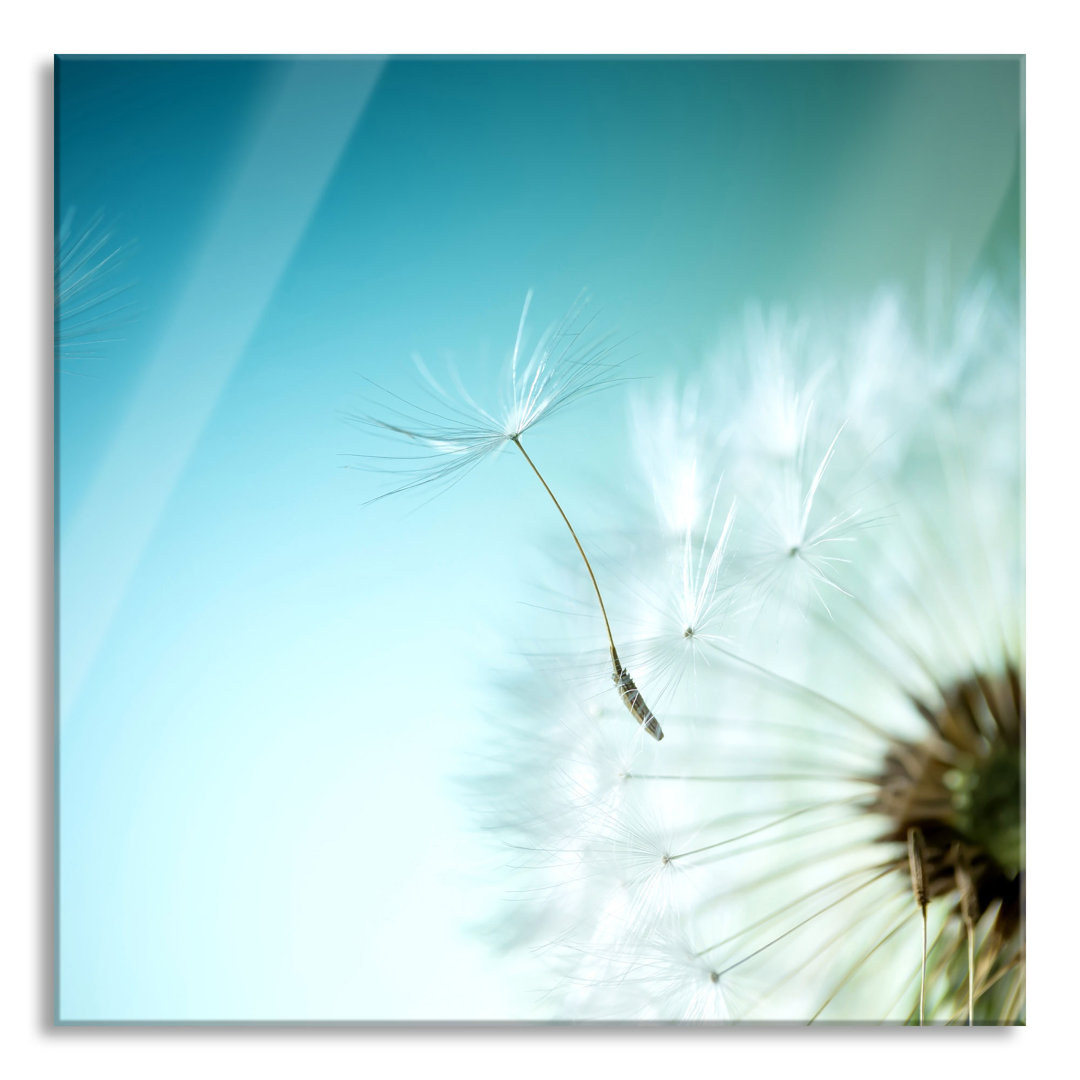 Glasbild Pusteblume Uhr