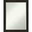 Miroir mural Delesa-758054016