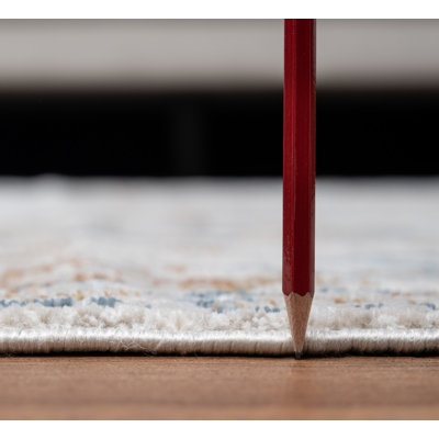 Hette Oriental Indoor Rug