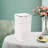 Negative Ion Tabletop Air Purifier