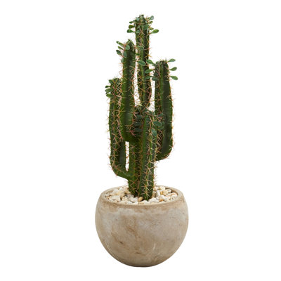 30'' Faux Cactus Succulent in Ceramic Pot