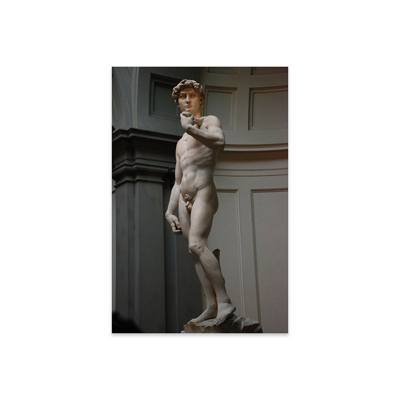 David par Michelangelo - photographie sans cadre, H 24 po x l 16 po x P 0,25 po