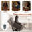Power Lift Recliner Chair for Elderly with Massage and Heat,Electric Lift Reclining Chair with Side Pockets and Cup Holders,Massage Recliner Chair for Living Room-384108555