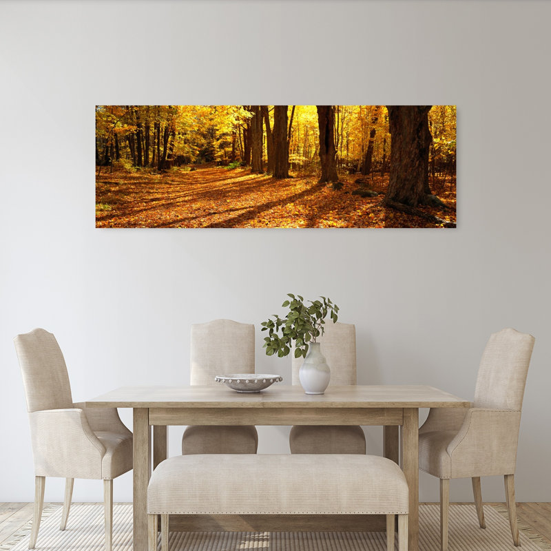 Tree Lined Road Massachusetts USA by Tomas Barbudo - Wrapped Canvas Panoramic Print, 50.8 cm H x 152.4 cm W