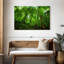 Jungle Alvord Basse-Terre-111859429