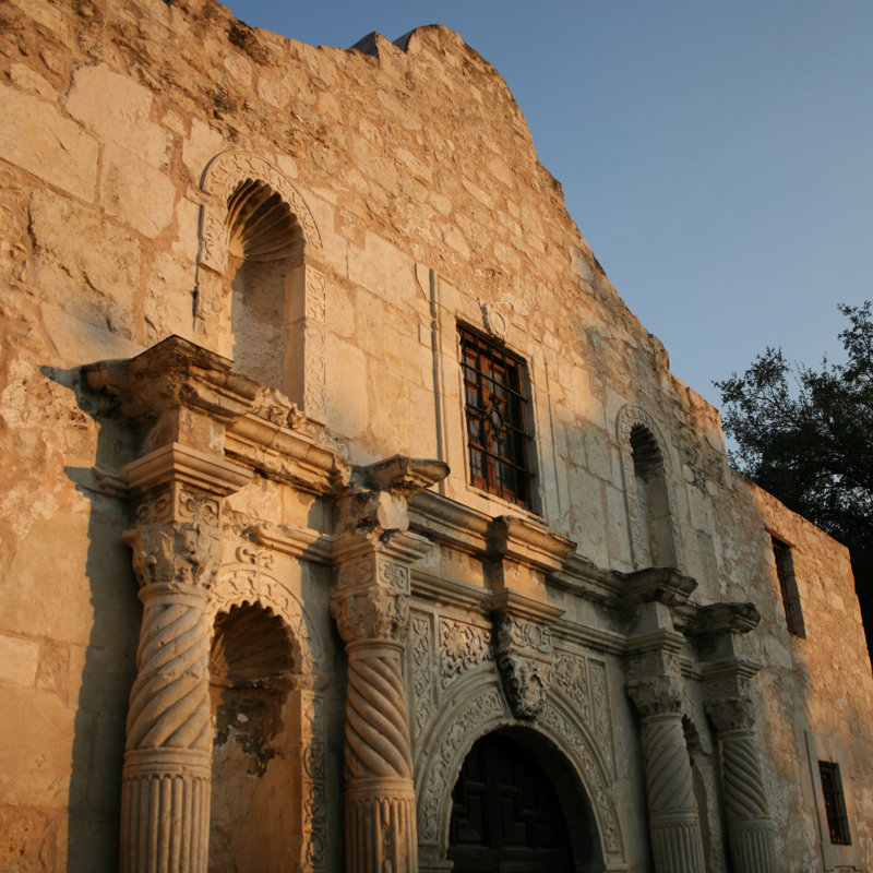 Wayamo Alamo San Antonio par Fintastique, H 12 po x l 12 po