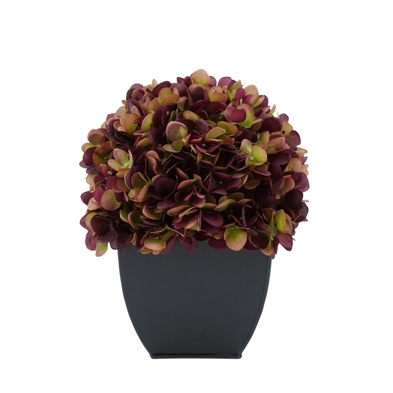 Arrangement floral hortensia en pot, Prune