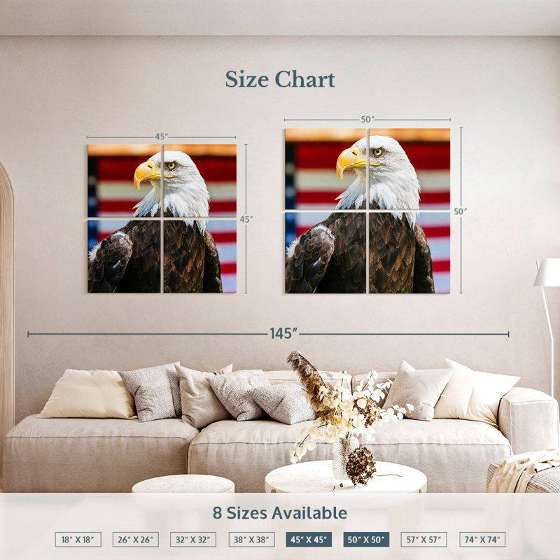 Mighty US Bald Eagle