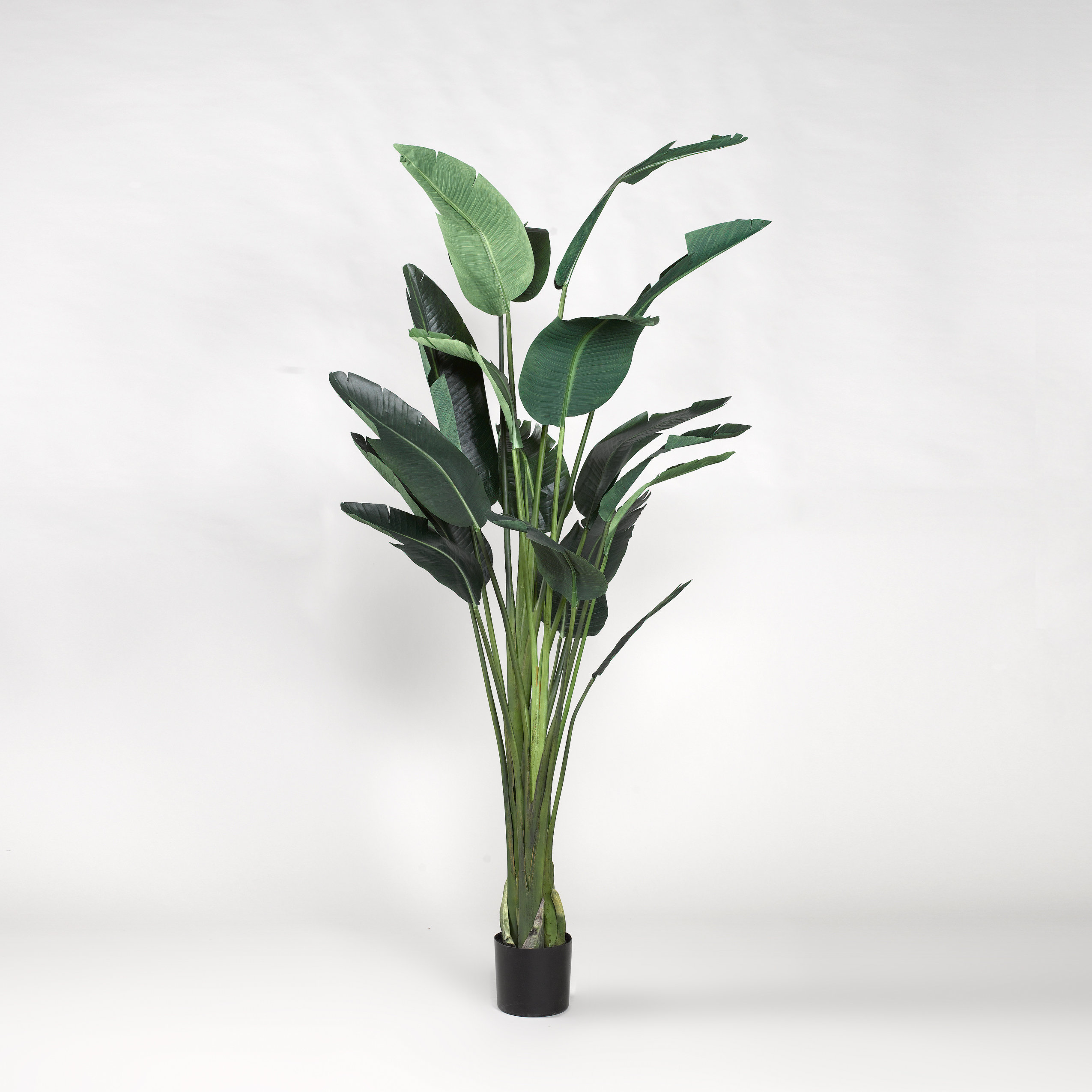 Primrue 72'' Faux Traveler Palm Tree in Planter Wayfair