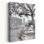 Campo Santa Margherita # 1 - Paysages, photographie, bancs, parcs, art
