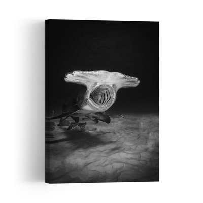 Hammerhead Jaws Underwater Contemporary Fish Shark Nature Ocean Wall Art Print