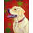 Labrador 4 sélectionné