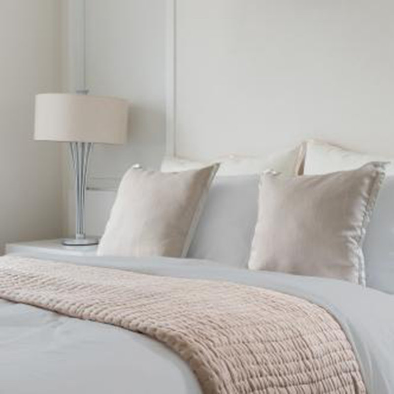Deluxe Soft 100% Rayon From Bamboo 4-Piece sheet Set, Light Grey